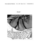 COMPOSITE SYSTEM diagram and image