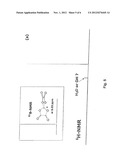 PURE FORMS OF LITHIUM BORATE SALTS AND THE PROCESS PRODUCING SUCH FORMS diagram and image