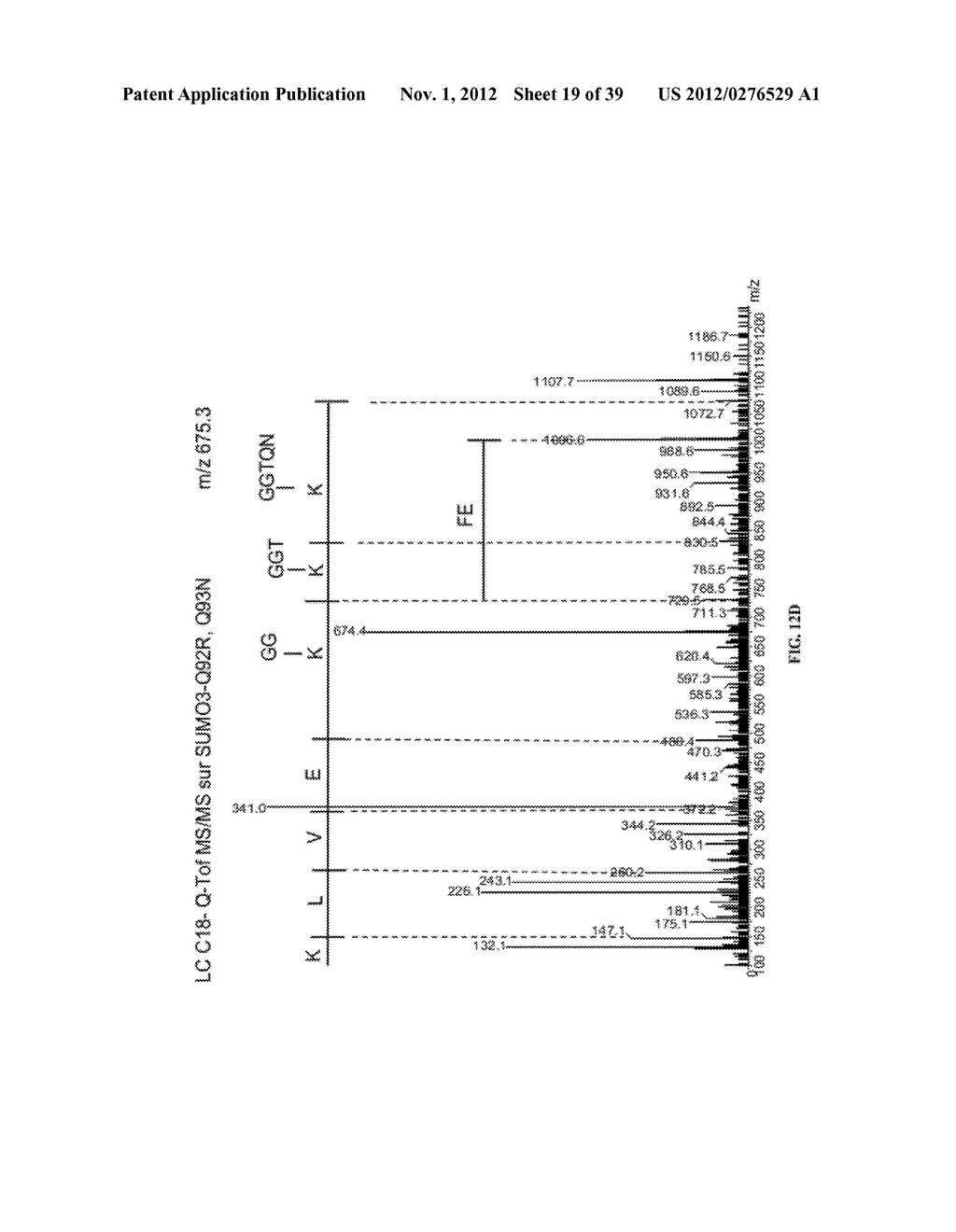 MUTATED SUMO ISOFORMS AND USES THEREOF - diagram, schematic, and image 20