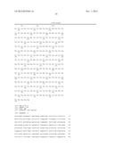 METHOD FOR SCREENING A POTENTIAL MODULATOR COMPOUND OF A TASTE RECEPTOR diagram and image