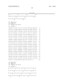 METHOD FOR SCREENING A POTENTIAL MODULATOR COMPOUND OF A TASTE RECEPTOR diagram and image