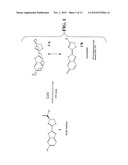 Luciferins diagram and image