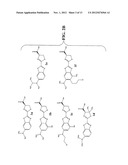 Luciferins diagram and image