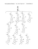 Luciferins diagram and image