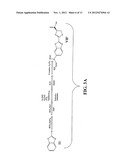 Luciferins diagram and image