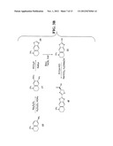 Luciferins diagram and image