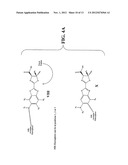 Luciferins diagram and image