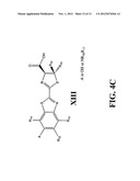 Luciferins diagram and image