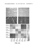 NANOTUBE STRUCTURES, METHODS OF MAKING NANOTUBE STRUCTURES, AND METHODS OF     ACCESSING INTRACELLULAR SPACE diagram and image