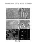 NANOTUBE STRUCTURES, METHODS OF MAKING NANOTUBE STRUCTURES, AND METHODS OF     ACCESSING INTRACELLULAR SPACE diagram and image