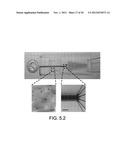 NANOTUBE STRUCTURES, METHODS OF MAKING NANOTUBE STRUCTURES, AND METHODS OF     ACCESSING INTRACELLULAR SPACE diagram and image