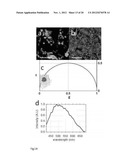 Phasor Method to Fluorescence Lifetime Microscopy to Discriminate     Metabolic State of Cells in Living Tissue diagram and image