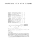 Use Of Galerina Marginata Genes And Proteins For Peptide Production diagram and image