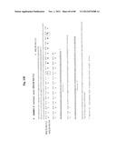 Use Of Galerina Marginata Genes And Proteins For Peptide Production diagram and image