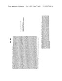 Use Of Galerina Marginata Genes And Proteins For Peptide Production diagram and image