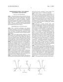 MODIFIED BIOMATERIAL, USES THEREOF AND MODIFICATION METHODS diagram and image