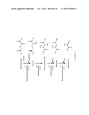 MICROORGANISMS FOR THE PRODUCTION OF METHACRYLIC ACID diagram and image