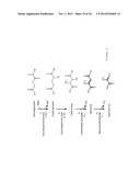 MICROORGANISMS FOR THE PRODUCTION OF METHACRYLIC ACID diagram and image