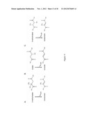 MICROORGANISMS FOR THE PRODUCTION OF METHACRYLIC ACID diagram and image