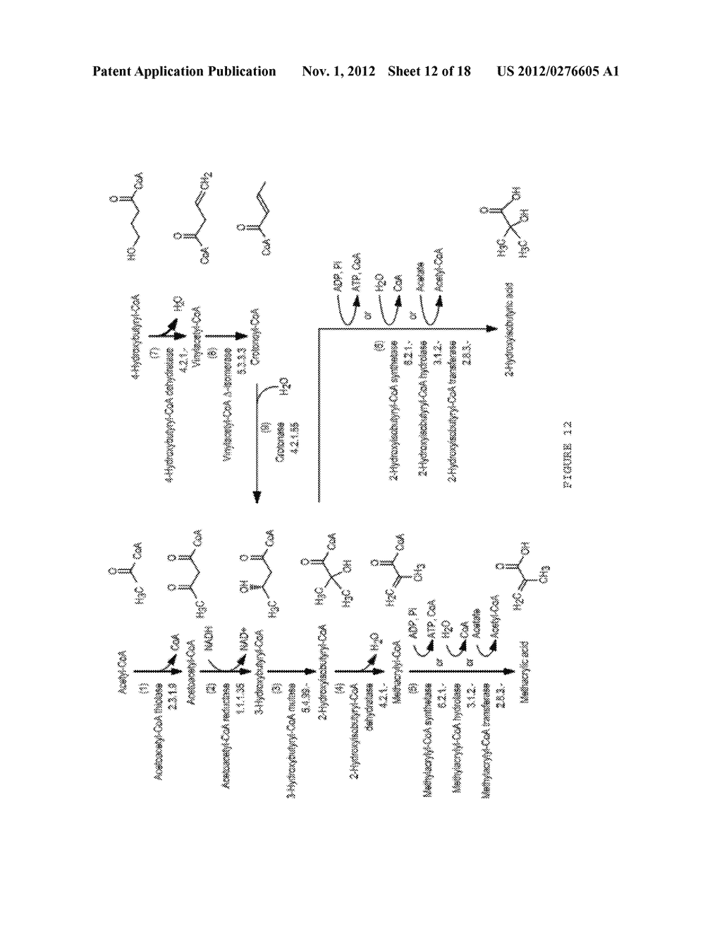 MICROORGANISMS FOR THE PRODUCTION OF METHACRYLIC ACID - diagram, schematic, and image 13