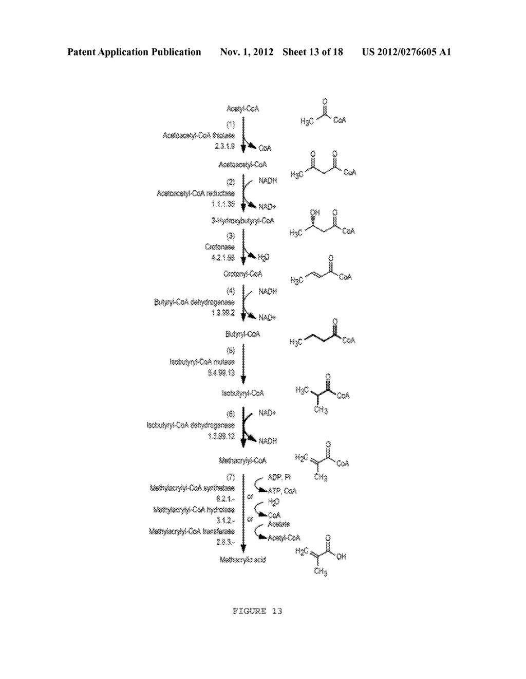 MICROORGANISMS FOR THE PRODUCTION OF METHACRYLIC ACID - diagram, schematic, and image 14