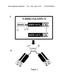 Multivalent Immunoglobulin-Based Bioactive Assemblies diagram and image