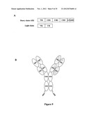 Multivalent Immunoglobulin-Based Bioactive Assemblies diagram and image