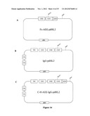 Multivalent Immunoglobulin-Based Bioactive Assemblies diagram and image