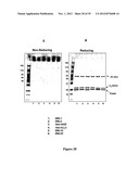 Multivalent Immunoglobulin-Based Bioactive Assemblies diagram and image