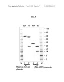 RECOMBINANTLY MODIFIED PLASMIN diagram and image