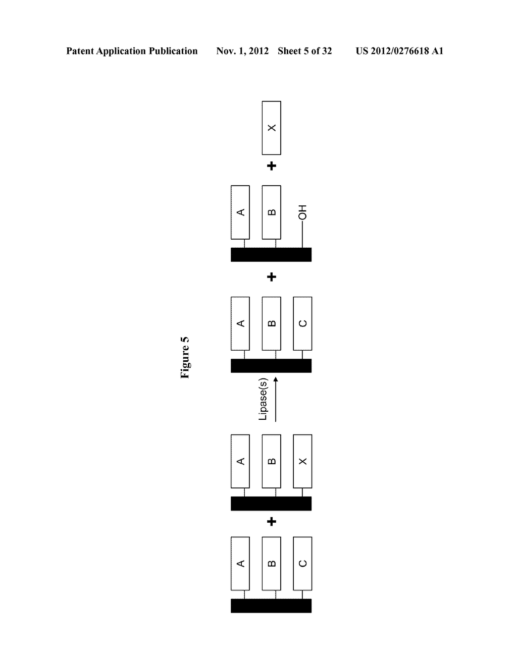 HYDROLASES, NUCLEIC ACIDS ENCODING THEM AND METHODS FOR BIOCATALYTIC     SYNTHESIS OF STRUCTURED LIPIDS - diagram, schematic, and image 06