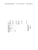 METHODS FOR IDENTIFYING FACTORS FOR DIFFERENTIATING DEFINITIVE ENDODERM diagram and image