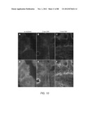 METHODS FOR IDENTIFYING FACTORS FOR DIFFERENTIATING DEFINITIVE ENDODERM diagram and image