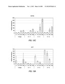 METHODS FOR IDENTIFYING FACTORS FOR DIFFERENTIATING DEFINITIVE ENDODERM diagram and image