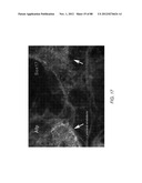 METHODS FOR IDENTIFYING FACTORS FOR DIFFERENTIATING DEFINITIVE ENDODERM diagram and image