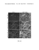 METHODS FOR IDENTIFYING FACTORS FOR DIFFERENTIATING DEFINITIVE ENDODERM diagram and image