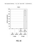 METHODS FOR IDENTIFYING FACTORS FOR DIFFERENTIATING DEFINITIVE ENDODERM diagram and image