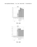 METHODS FOR IDENTIFYING FACTORS FOR DIFFERENTIATING DEFINITIVE ENDODERM diagram and image