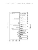 METHODS FOR IDENTIFYING FACTORS FOR DIFFERENTIATING DEFINITIVE ENDODERM diagram and image