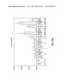 METHODS FOR IDENTIFYING FACTORS FOR DIFFERENTIATING DEFINITIVE ENDODERM diagram and image