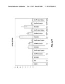 METHODS FOR IDENTIFYING FACTORS FOR DIFFERENTIATING DEFINITIVE ENDODERM diagram and image