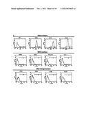 METHOD FOR PRODUCING MESENCHYMAL STEM CELLS FROM HUMAN PLURIPOTENT STEM     CELLS, AND MESENCHYMAL STEM CELLS PRODUCED BY SAME diagram and image