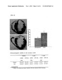 METHOD FOR PRODUCING MESENCHYMAL STEM CELLS FROM HUMAN PLURIPOTENT STEM     CELLS, AND MESENCHYMAL STEM CELLS PRODUCED BY SAME diagram and image