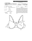 Garment Money Holder diagram and image