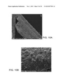 Method of Preparing Catalyst Using Alkali Metal or Alkaline Earth Metal in     Natural Cellulose Fibers as Co-Catalyst and Dispersant diagram and image