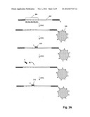 Methods and Compositions for Tagging and Identifying Polynucleotides diagram and image