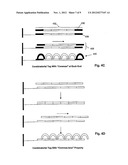 Methods and Compositions for Tagging and Identifying Polynucleotides diagram and image