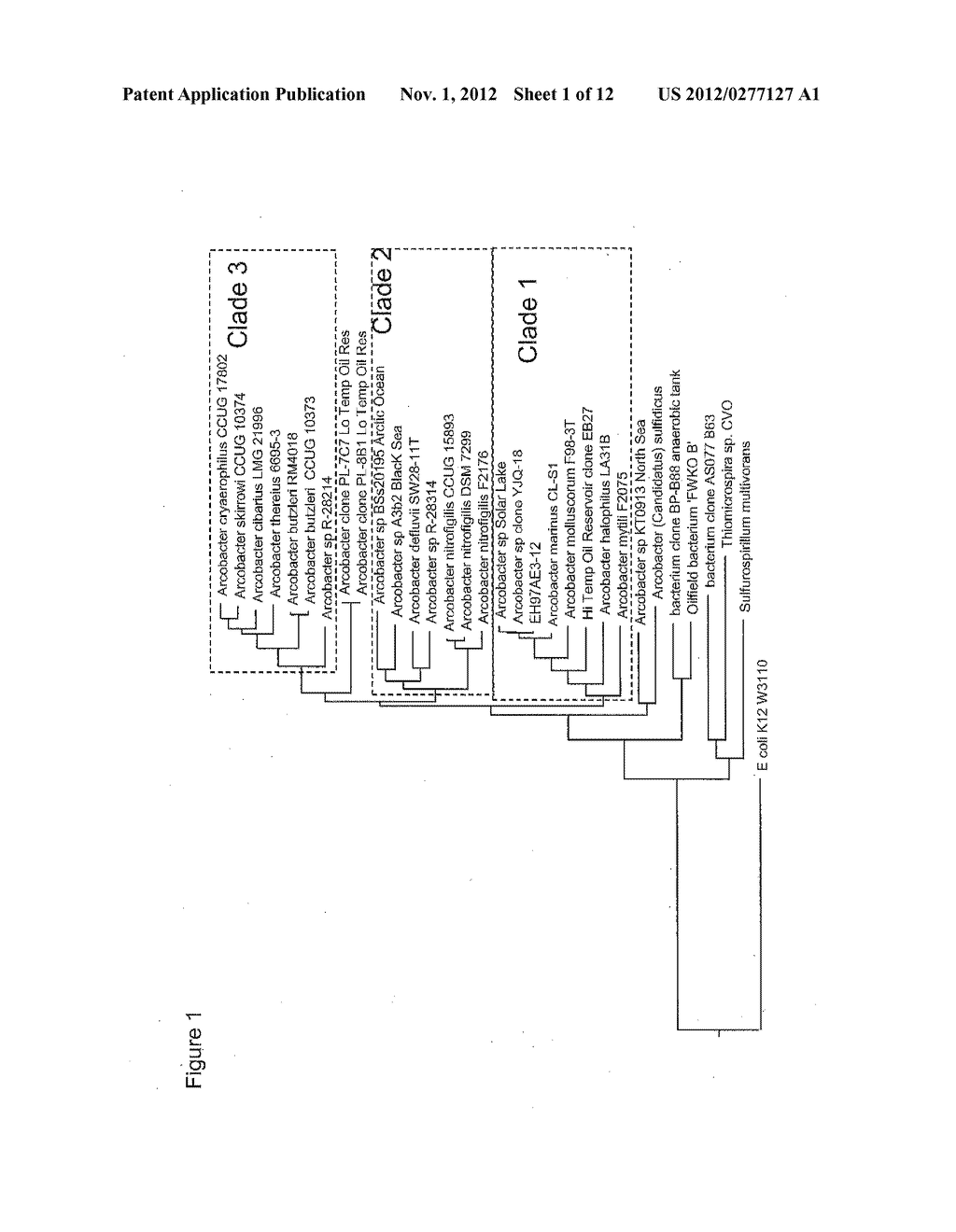 METHODS, STRAINS, AND COMPOSITIONS USEFUL FOR MICROBIALLY ENHANCED OIL     RECOVERY: ARCOBACTER CLADE 1 - diagram, schematic, and image 02