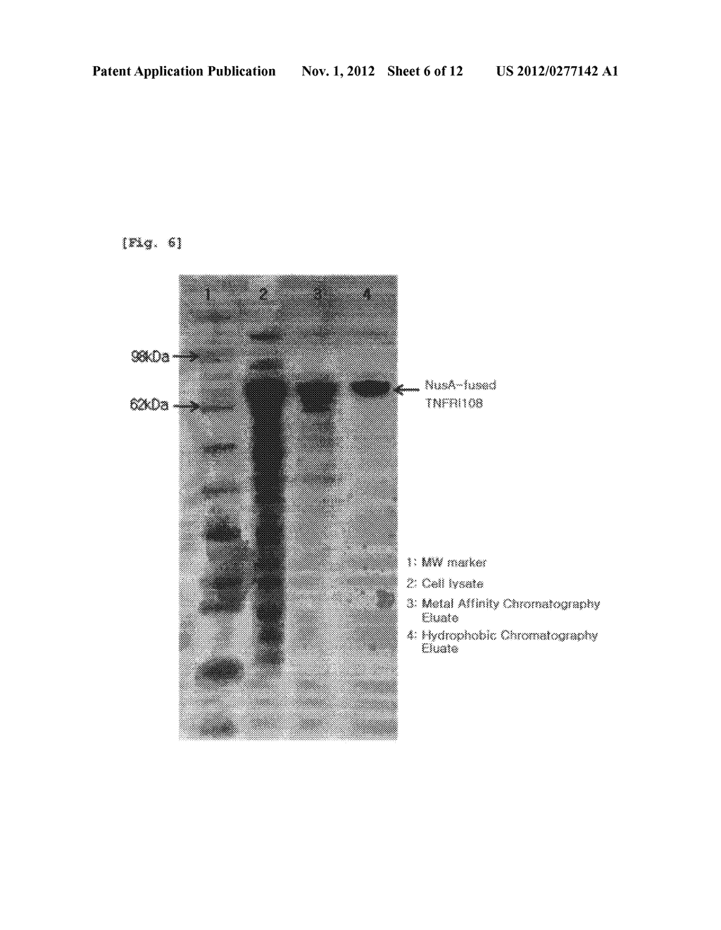 MODIFIED HUMAN TUMOR NECROSIS FACTOR RECEPTOR-1 POLYPEPTIDE OR FRAGMENT     THEREOF, AND METHOD FOR PREPARING SAME - diagram, schematic, and image 07