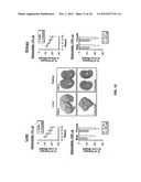 TREATING LIVER DISEASES diagram and image